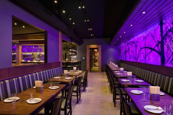 Search page restaurants16